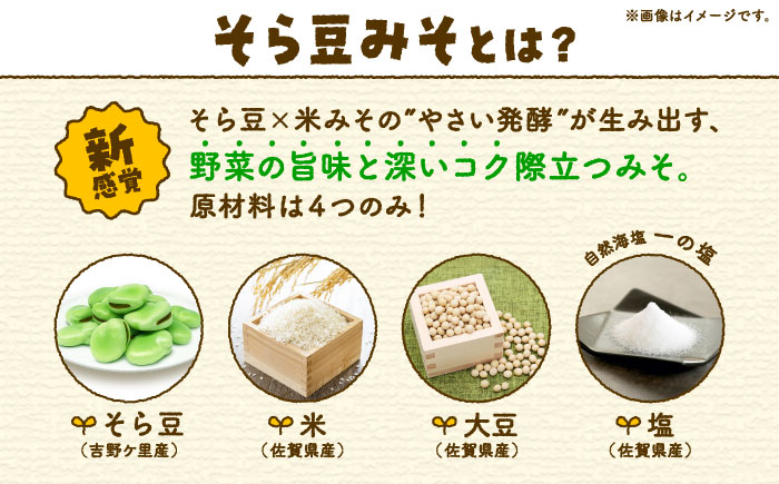 そら豆味噌 450g×3個 生みそ 高オレイン酸大豆 一の塩 そら豆 吉野ヶ里町/イデマン味噌醤油醸造元 [FAF035]