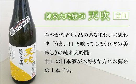 【The SAGA 認定酒】天吹2種飲み比べセット（純米大吟醸50/特別純米酒60 各1.8L×1）【アスタラビスタ】 [FAM023]