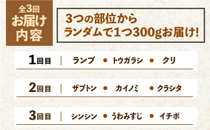 【2026年2月以降発送開始】＜3回定期便＞佐賀牛希少部位～ひとり贅沢焼肉コース～ ランプ/クリ/トウガラシ/ザブトン/カイノミなど【ミートフーズ華松】 [FAY071]