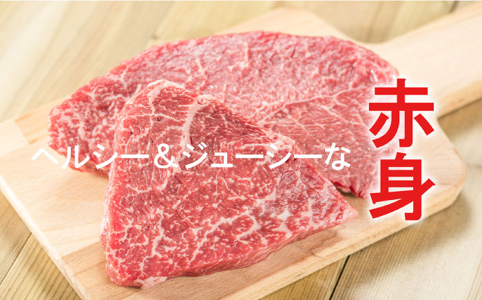 【計5回】ステーキで豪華に彩る佐賀牛バリエーションステーキ定期便 [FAZ040]