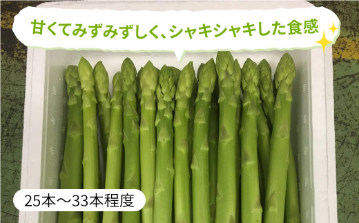 先行予約！受付は3/10まで！【26年3月中順次発送】アスパラガス 春芽 1kg（〇Lサイズ） 吉野ヶ里町/佐賀県農業協同組合 [FBE017]