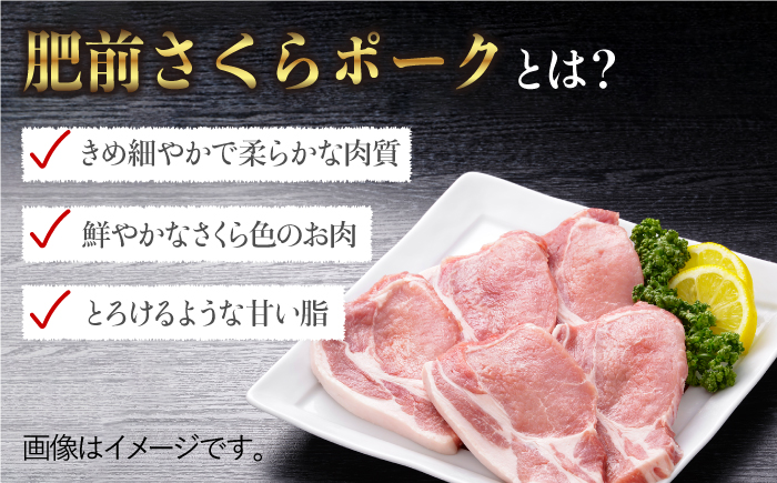 【佐賀のブランド豚】肥前さくらポーク とんかつ用ロース500g（100g×5枚）【佐賀県農業協同組合】 [FBE018]