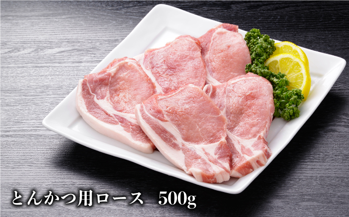 【佐賀のブランド豚】肥前さくらポーク3種堪能セット合計1,500g【佐賀県農業協同組合】 [FBE027]