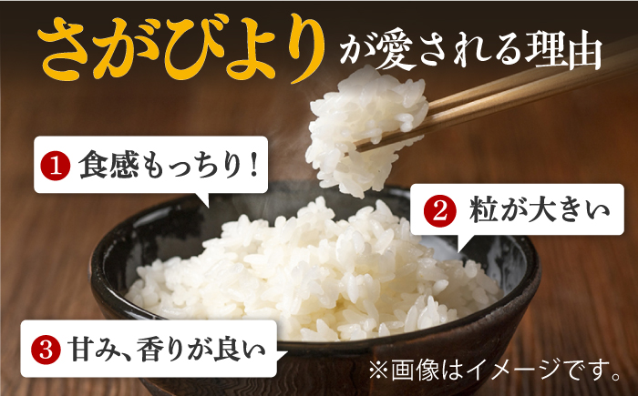 〈受付一時停止中〉【 ブランド米食べ比べ 】【令和5年産】さがびより ・ 夢しずく 合計10kg  吉野ヶ里町/増田米穀 [FBM031]