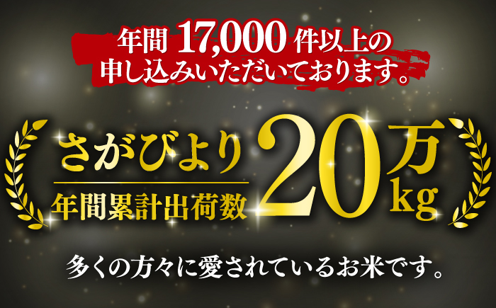 〈受付一時停止中〉【数量限定】【12回定期便】【令和5年産】さがびより 計120kg（5kg×2袋×12回）吉野ヶ里町/増田米穀 [FBM035]