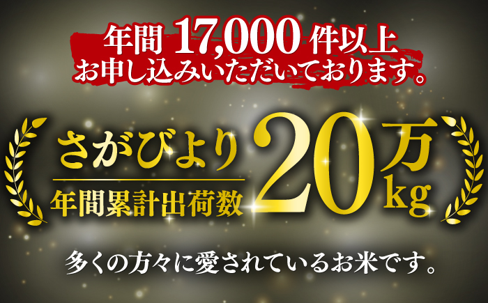 〈受付一時停止中〉【数量限定】【12回定期便】【令和5年産】さがびより 計60kg（5kg×12回）吉野ヶ里町/増田米穀 [FBM038]