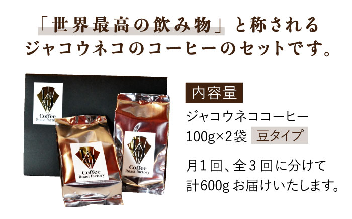 【3回定期便・豆タイプ】ジャコウネココーヒー100g×2（200g）3回合計600g [FBR026]