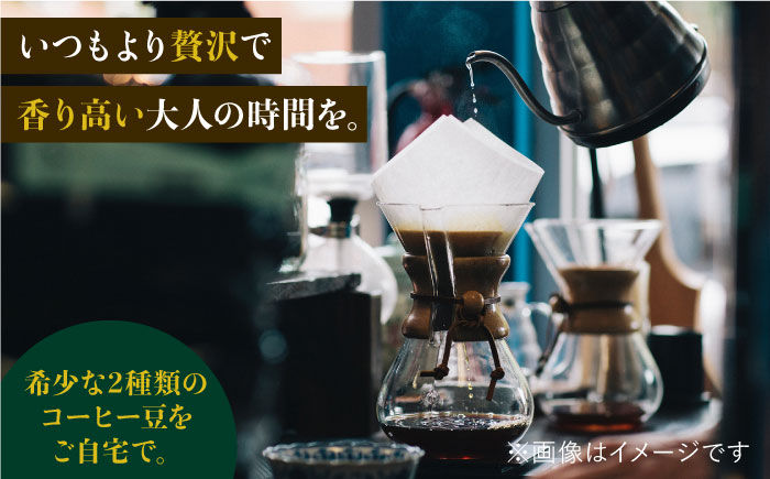 【6回定期便】ジャコウネココーヒー100g&ウイスキー樽熟成コーヒーセット100g≪豆タイプ≫ 吉野ヶ里町/ラオジャパン合同会社 [FBR035]