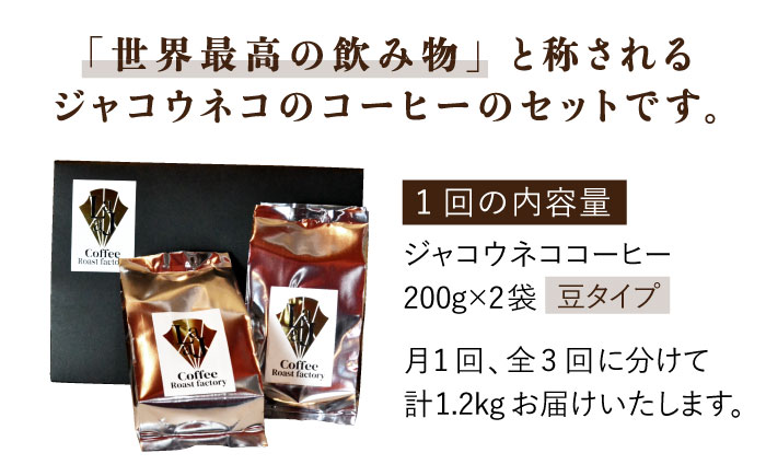 【全3回定期便】【豆タイプ】ジャコウネココーヒー200g×2（400g）3回合計1.2kg 吉野ヶ里町/ラジャコーヒー [FBR058]