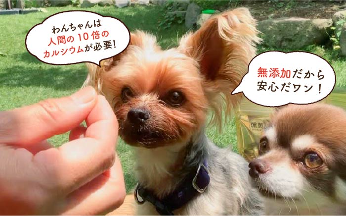 犬と猫の無添加おやつ☆お塩不使用☆黄金の燻製にぼし 吉野ヶ里町/わんこin食堂 ペットフード[FCG028]