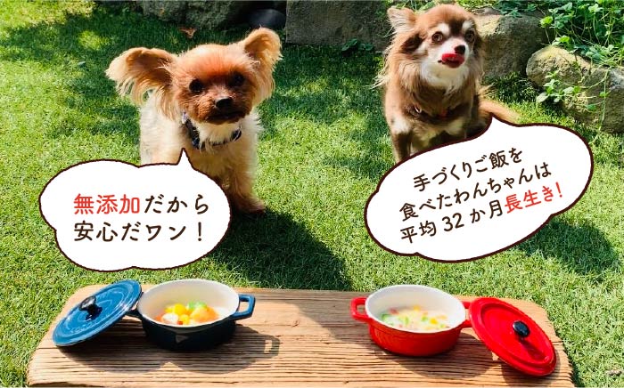 【定期便3回】犬の無添加ごはん☆具だくさんカレー＆クリームシチュー＆ミネストローネ☆スモークソーセージ入り（各2袋・全6袋）【わんこin食堂】 [FCG037]