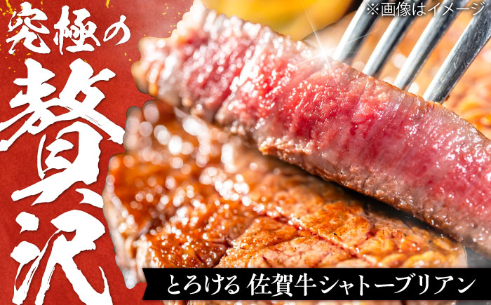 【最高級！とろける希少部位】 佐賀牛 シャトーブリアン 200g×6枚 総量1.2kg 吉野ヶ里町/やま田商店 [FCH024]