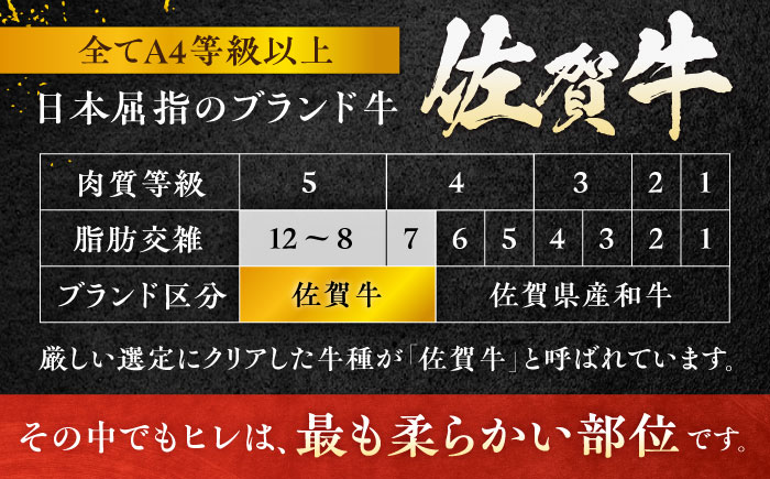 【年内発送可 ※～12/16ご入金まで！】佐賀牛 赤身 希少部位 ヒレ セット (ステーキ180g×3 / サイコロステーキ400g)  吉野ヶ里町/やま田商店 [FCH025]