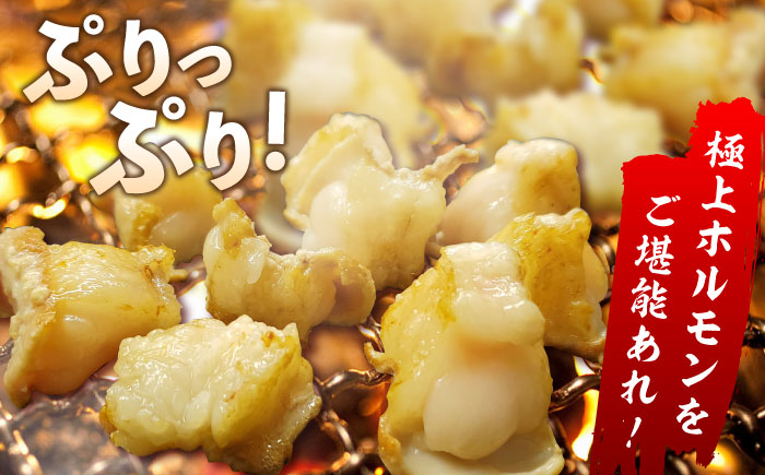 【脂が甘くてぷりっぷり！】佐賀牛ホルモン 焼肉用 小腸 500g（250g×2）味付けなし 吉野ヶ里町/やきとり紋次郎 [FCJ089]