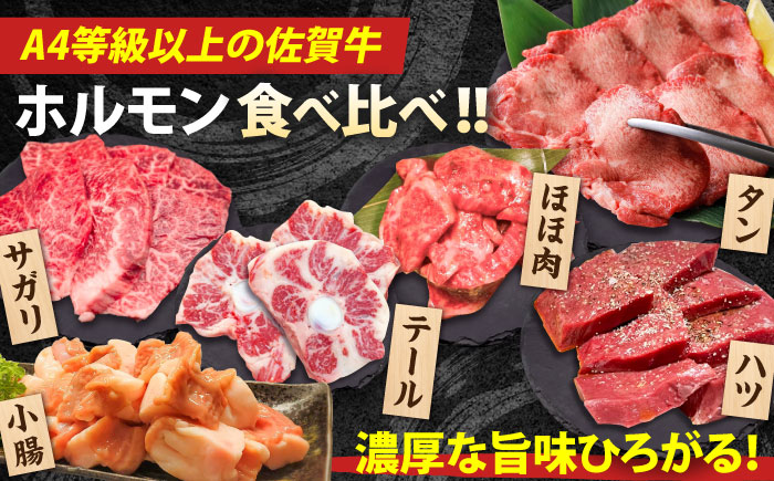 佐賀牛6種食べ比べ！ ホルモンバラエティセット 1.8kg 4-5人前 盛り合わせ タン・小腸など 吉野ヶ里町/やきとり紋次郎 [FCJ090]