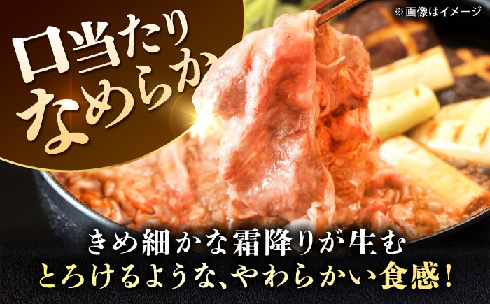 【全12回定期便】＜しゃぶしゃぶ・贈り物に＞佐賀牛肩ロース スライス 600g 吉野ヶ里町 /meat shop FUKU A5等級 黒毛和牛 ブランド和牛 佐賀県産 国産 [FCX022]