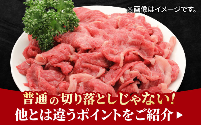 【全6回定期便】すき焼き しゃぶしゃぶに！佐賀牛 赤身とバラ肉の切り落とし 500g（250g×2P） 吉野ヶ里町/NICK’S MEAT [FCY015]
