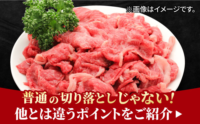【まるっと便利】佐賀牛 赤身とバラ肉の切り落とし 600g 吉野ヶ里町/NICK’S MEAT [FCY029]