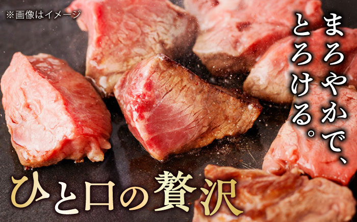 【一口で広がる贅沢な旨味！】　佐賀牛 A4 A5等級 ヒレ サイコロステーキ 450g 吉野ヶ里町/NICK’S MEAT ステーキ[FCY039]