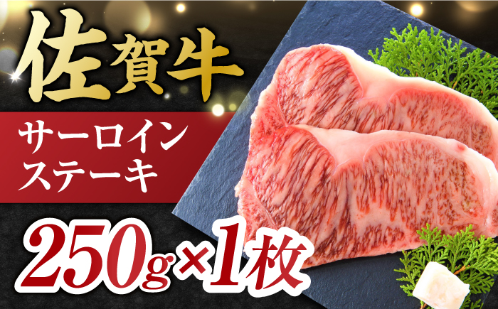 艶さし ！ 佐賀牛 サーロインステーキ 250g （250g×1枚） 吉野ヶ里町 ステーキ[FDB009]