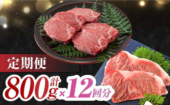 【12回定期便】佐賀牛 ヒレステーキ＆サーロインステーキ 食べ比べ セット 計9.6kg  （ヒレ150g・サーロイン250g×各2枚×12回） 吉野ヶ里町 [FDB038]