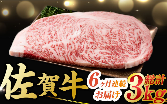 【6回定期便】 艶さし！ 佐賀牛 サーロインステーキ 計3kg （250g×2枚×6回） 吉野ヶ里町 [FDB040]