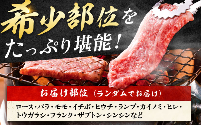 艶さし！【A4～A5】希少部位!佐賀牛おまかせ焼肉6種盛りセット 吉野ヶ里町/株式会社MEAT PLUS [FDB078]