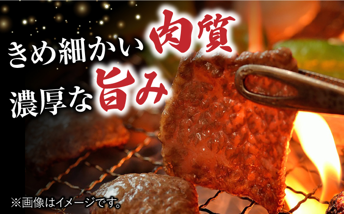 佐賀牛 肩ロース 焼肉用 計1kg（250g×4パック） 吉野ヶ里町/一ノ瀬畜産 ロース[FDC003]