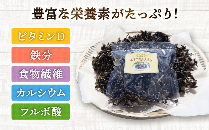 吉野ヶ里産 フルボ酸入り 福ちゃん 乾燥きくらげ 46g きくらげ キクラゲ [FDS002]