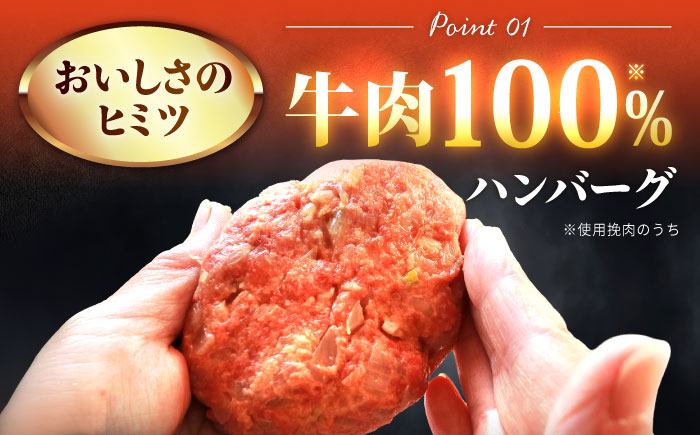 100％佐賀牛！佐賀牛デミハンバーグ 150g×20個 吉野ヶ里町/株式会社博多漁師の里 [FDV002]