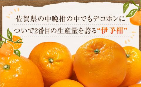 【1月中旬～2月下旬発送】甘酸っぱくておいしい！佐賀県産 みかん 「伊予柑（いよかん）」 蜜柑 ミカン みかん  5kg 吉野ヶ里町/リエンサーク [FCC008]