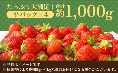 【1月中旬～3月中旬発送】みずみずしい果肉！さがほのか平パック4P 約1kg いちご 佐賀県産 佐賀県 イチゴ パック 吉野ヶ里町/リエンサーク [FCC002]