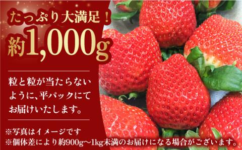【1月中旬～2月中旬発送】やさしい味わい！いちごさん 平パック×4P 約1kg いちご イチゴ 佐賀県産 佐賀県 佐賀 パック 吉野ヶ里町/リエンサーク [FCC003]