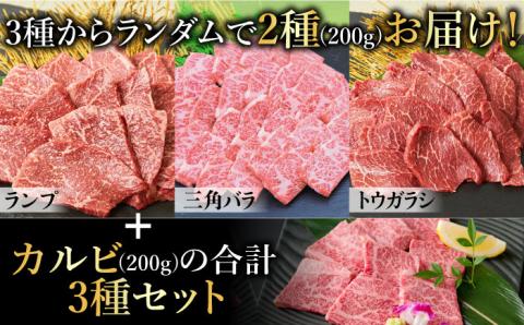 ＜ひとり贅沢＞佐賀牛 希少部位含むおまかせ焼肉セット3種400g【ミートフーズ華松】 [FAY064]