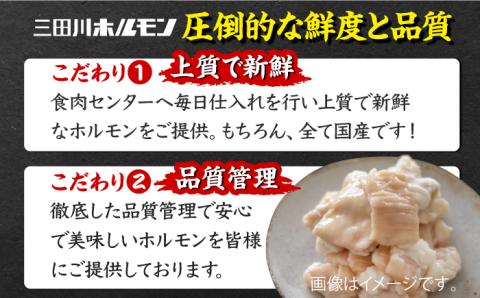 九州産もつ鍋セット(２人分）吉野ヶ里町/三田川ホルモン[FAC002]