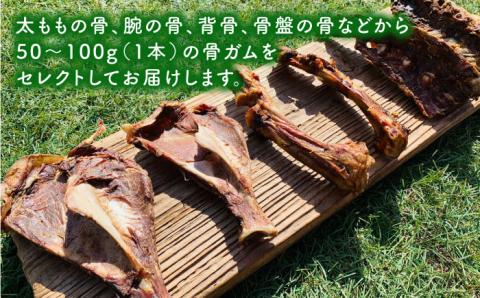 ＜3回定期便＞中型犬向け☆天然いのししのスモーク骨ガム4本 わんこin食堂/吉野ヶ里町 [FCG073]