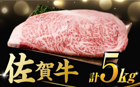 【不揃い訳あり】 佐賀牛 サーロインステーキ 5kg （ 250g 2枚入り×10パック） 吉野ヶ里町 [FDB012]