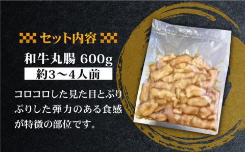 プリプリで味わい深い！ホルモン専門店の和牛丸腸600g（約3から4人前）吉野ヶ里町[FAC006]
