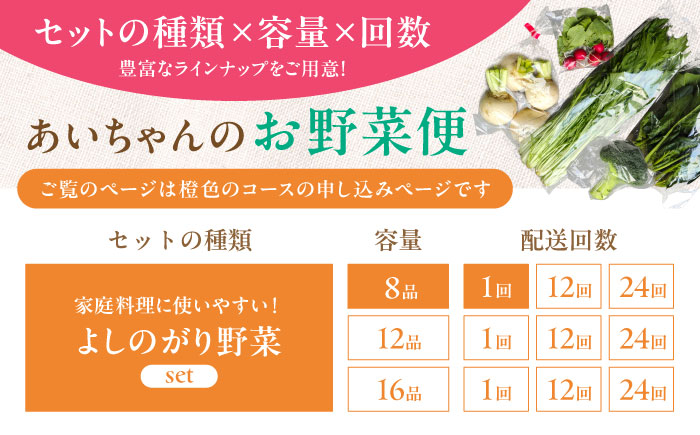 【8品】農薬に頼らない！カラダにやさしい「よしのがり野菜」セット（ショート）吉野ヶ里町/あいちゃん農園[FAA001]
