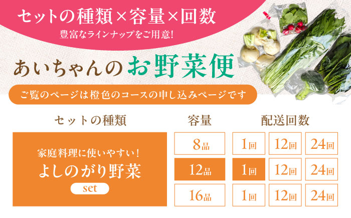 【12品】農薬に頼らない！カラダにやさしい「よしのがり野菜」セット（レギュラー）吉野ヶ里町/吉野ヶ里あいちゃん農園[FAA005]