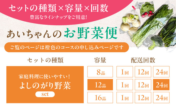 【12品 / 24回定期便】農薬に頼らない！カラダにやさしい「よしのがり野菜」セット（レギュラー）吉野ヶ里町/あいちゃん農園[FAA007]