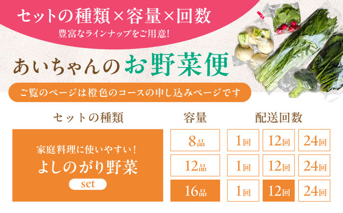 【16品 / 12回定期便】農薬に頼らない！カラダにやさしい「よしのがり野菜」セット（ラージ）吉野ヶ里町/あいちゃん農園[FAA010]