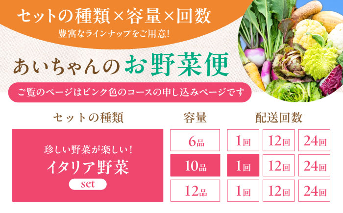 【10品】農薬に頼らない！カラダにやさしい「イタリア野菜」セット（レギュラー）吉野ヶ里町/あいちゃん農園[FAA017]