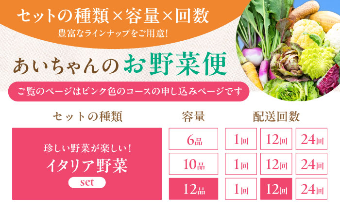 【12品×12回定期便】農薬に頼らない！カラダにやさしい「イタリア野菜」セット（ラージ）吉野ヶ里町/あいちゃん農園[FAA022]