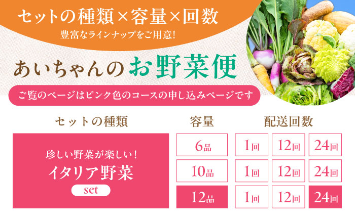 【12品×24回定期便】農薬に頼らない！カラダにやさしい「イタリア野菜」セット（ラージ）【吉野ヶ里あいちゃん農園】[FAA023]
