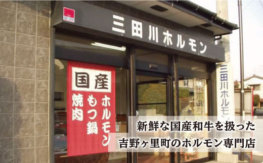 【味付】ホルモン専門店の和牛ハラミ300g （約3人前）吉野ヶ里町[FAC014]