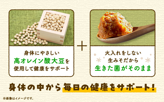 そら豆味噌 450g×3個 生みそ 高オレイン酸大豆 一の塩 そら豆 吉野ヶ里町/イデマン味噌醤油醸造元 [FAF035]