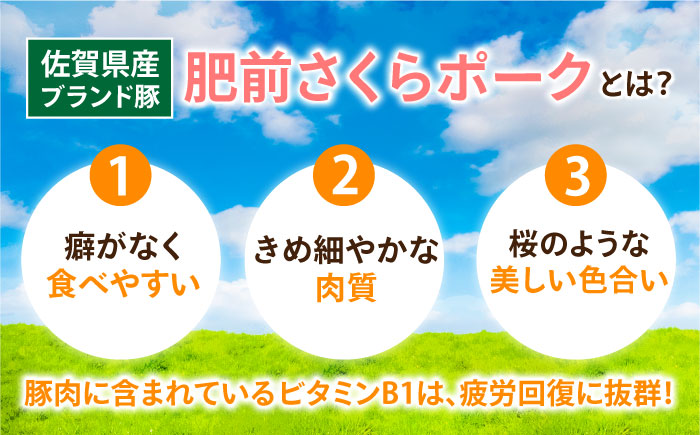 【12回定期便】＜毎日のお料理に便利に使える♪＞肥前さくらポーク こま切れ 1kg （500g × 2パック） 佐賀県産 国産豚肉 小間 小分け 吉野ヶ里町/アスタラビスタ [FAM031]