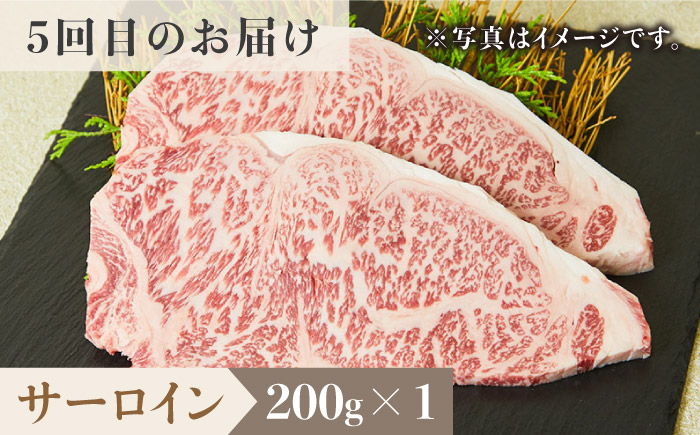 【2026年2月以降発送開始】＜6回定期便＞佐賀牛希少部位～ひとり贅沢ステーキコース～ イチボ/ランプ/ミスジ/クリ/サーロイン/シャトーブリアン 吉野ヶ里町/ミートフーズ華松[FAY069]