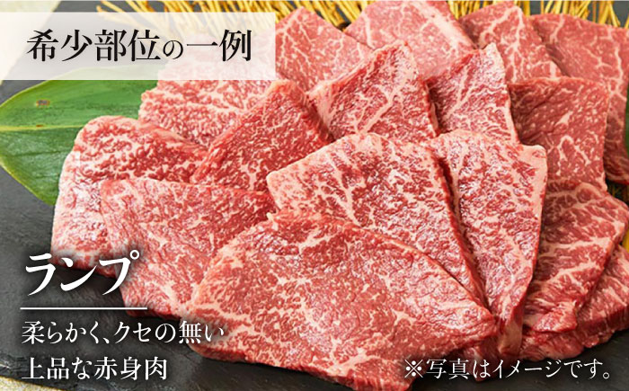 【2026年2月以降発送開始】＜3回定期便＞佐賀牛希少部位～ひとり贅沢焼肉コース～ ランプ/クリ/トウガラシ/ザブトン/カイノミなど【ミートフーズ華松】 [FAY071]